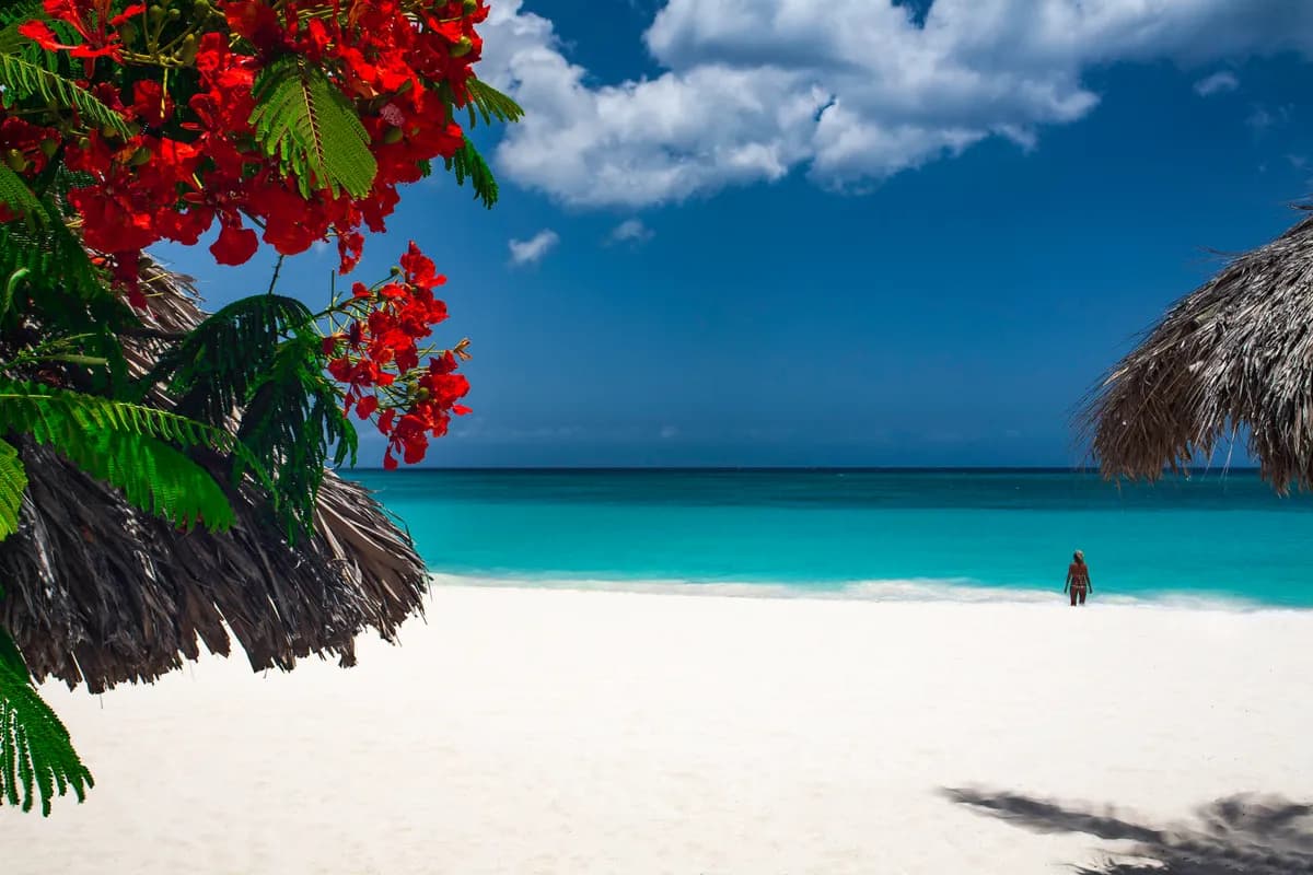 Druif Beach