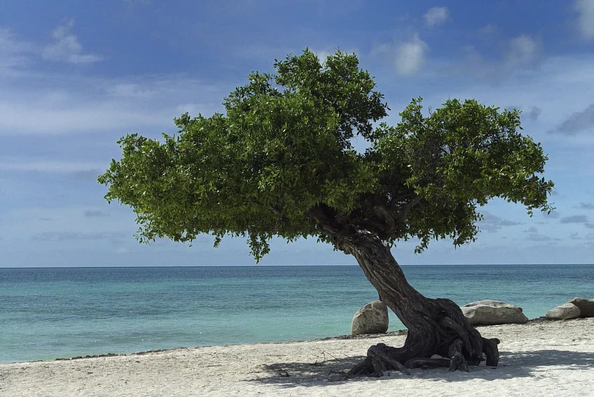 Eagle Beach