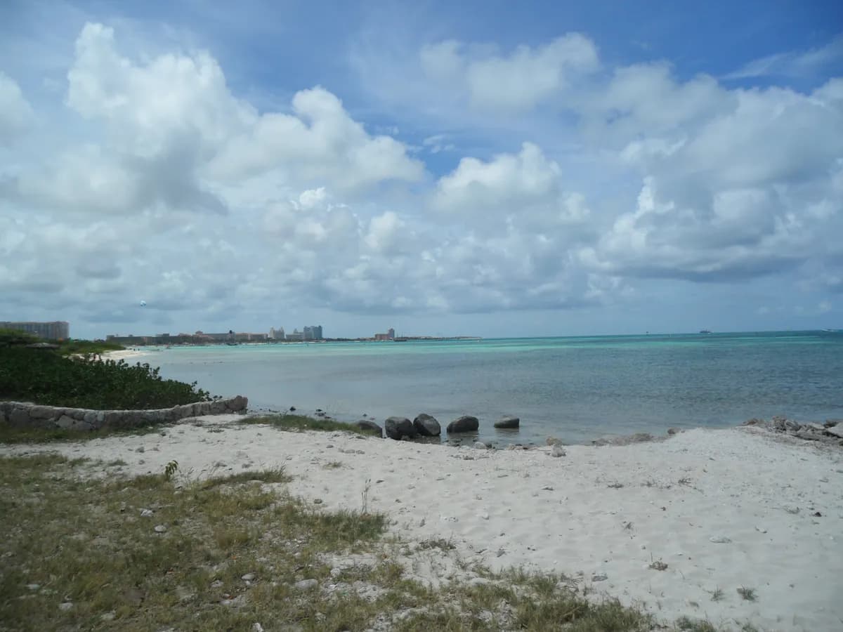 Best Time to Visit Aruba: Month by Month