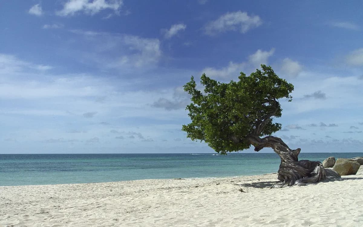 Eagle Beach