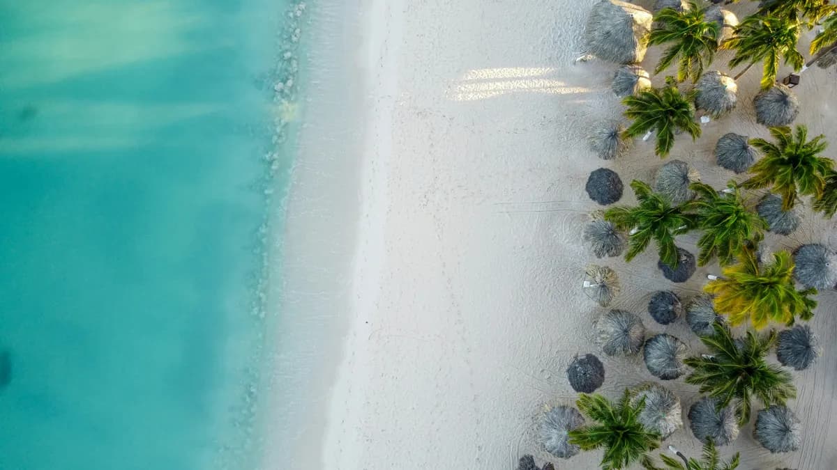 About Aruba 365