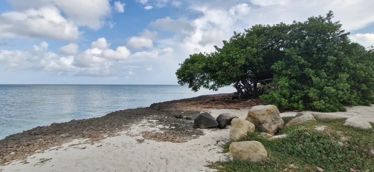 Aruba on a Budget